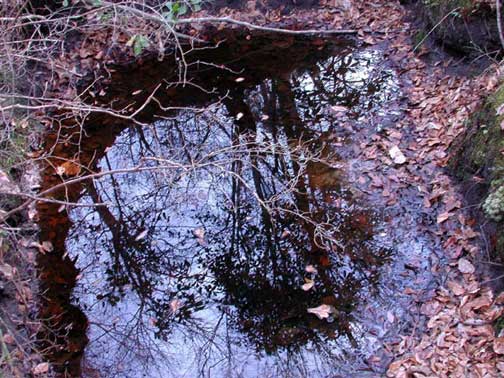 Reflection Pool